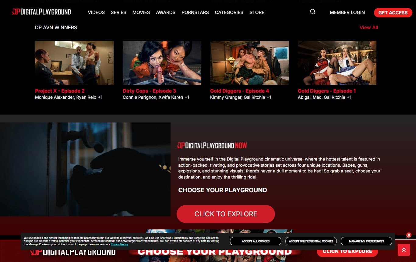 digital-playground homepage-mid screenshot